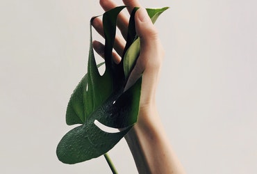 blog-image